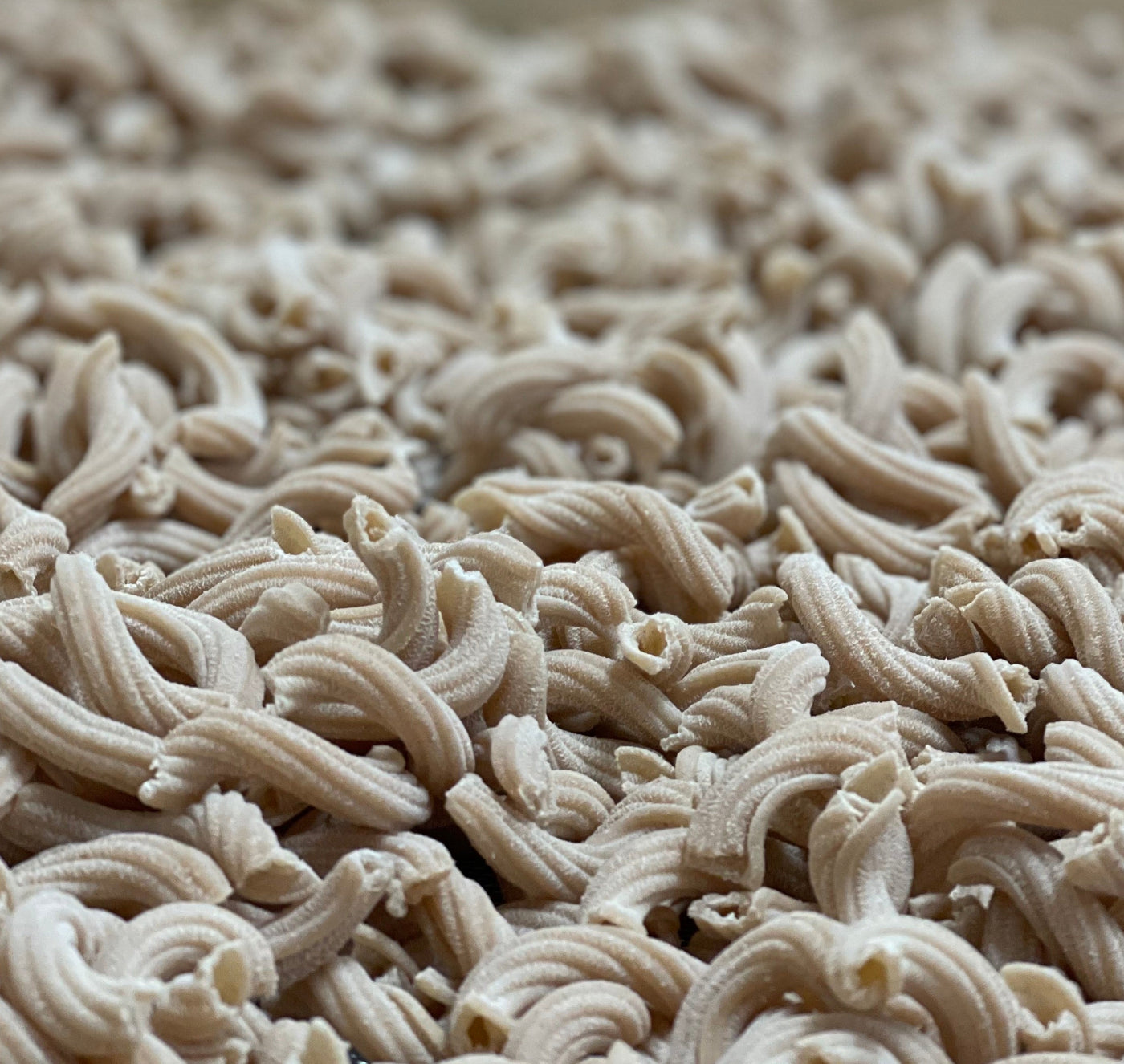 Spelt Garganelle dried pasta